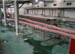 果汁飲料空瓶包裝生產線高精度向大型化發展